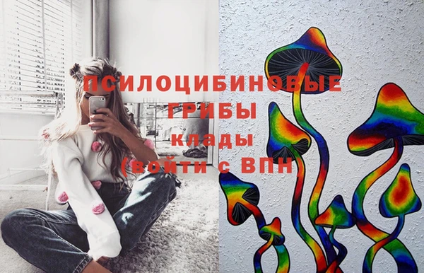 прущая мука Алзамай