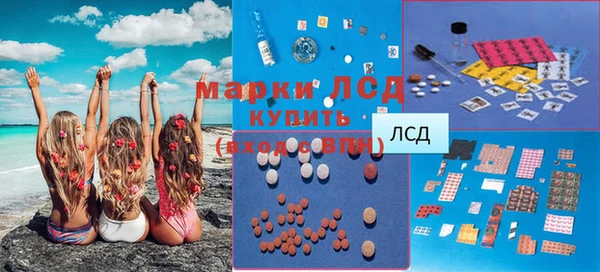 ГАЛЛЮЦИНОГЕННЫЕ ГРИБЫ Вязники