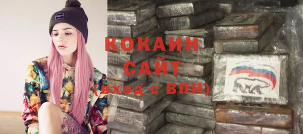 дживик Касимов