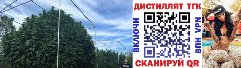 купить наркотики цена  дарк нет как зайти  ТГК жижа  Мичуринск 
