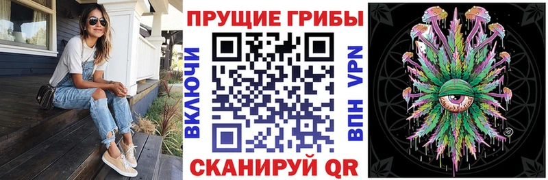 купить закладку  Мичуринск  Галлюциногенные грибы MAGIC MUSHROOMS 